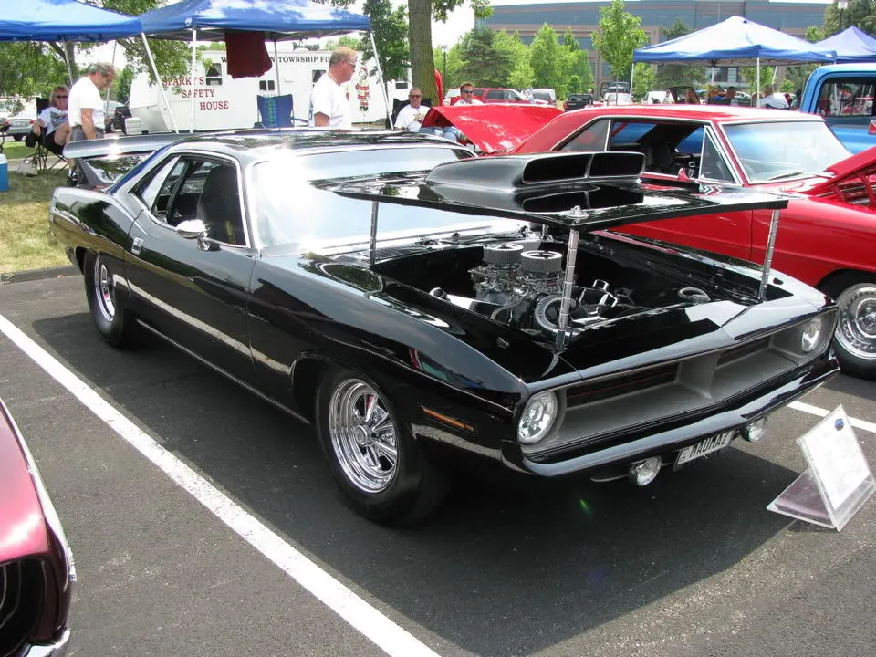 IMG_1555.webp