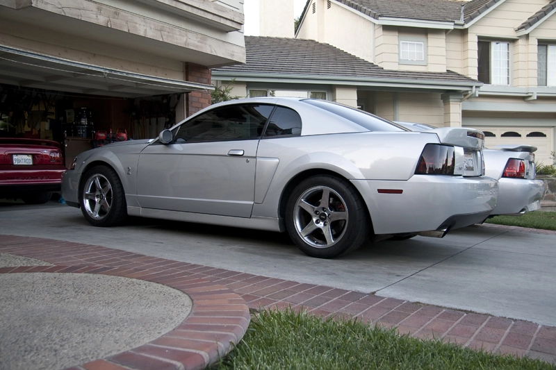 IMG_1560Small.webp
