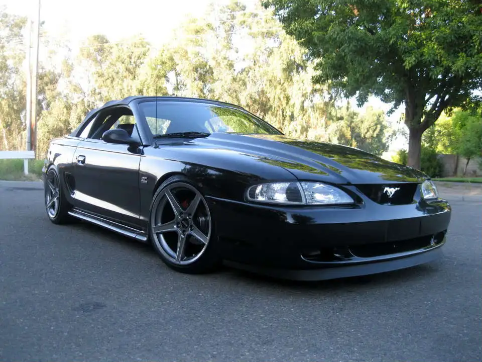 IMG_1708.webp