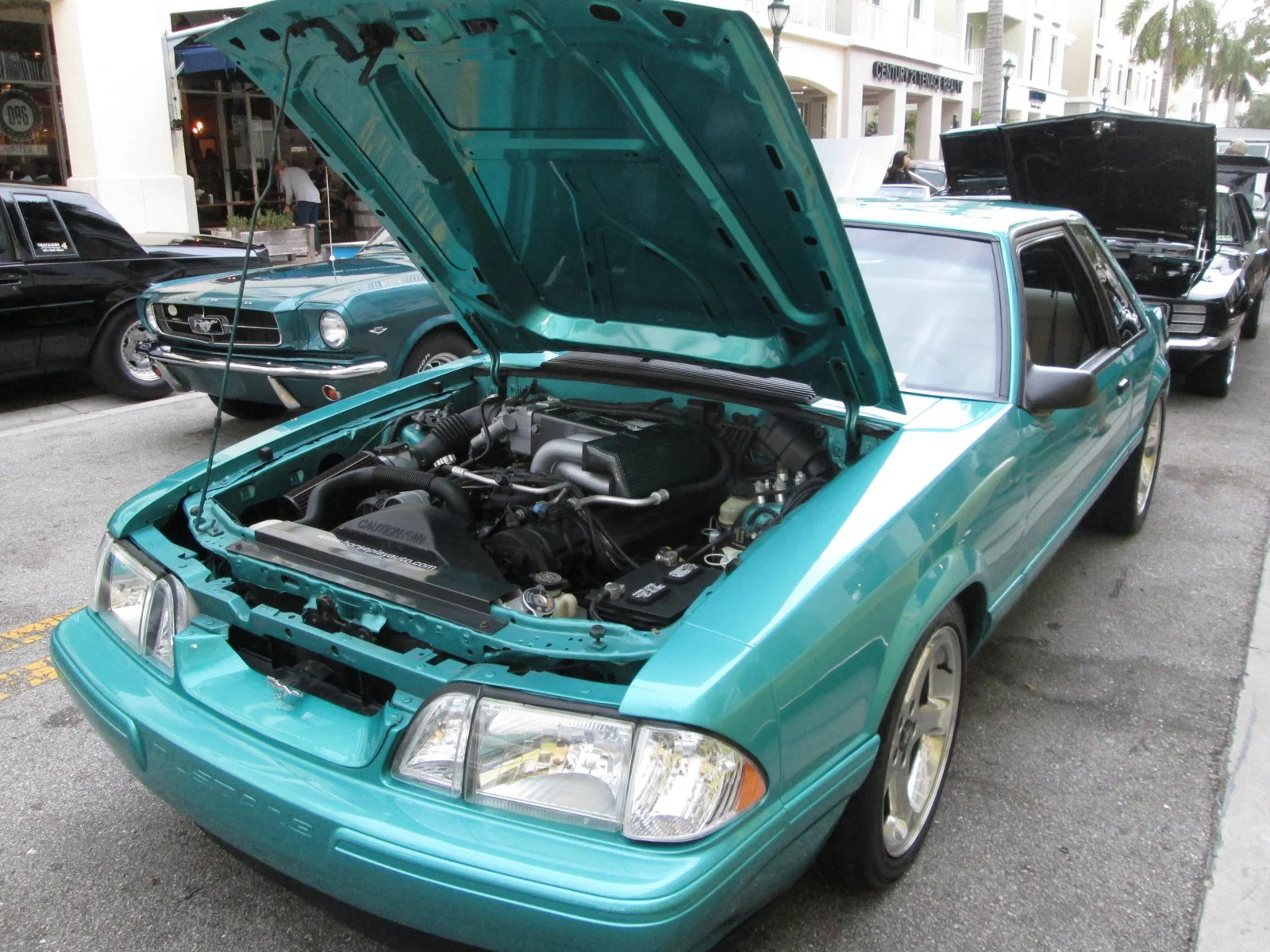 IMG_1763.webp