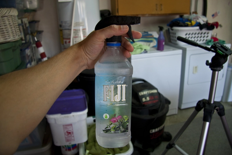 IMG_1861Small.webp
