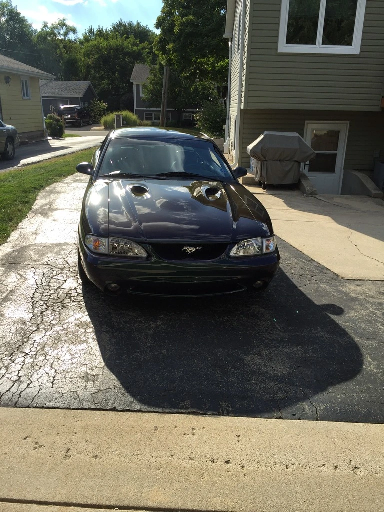 IMG_1908_zps2grw2ajy.webp
