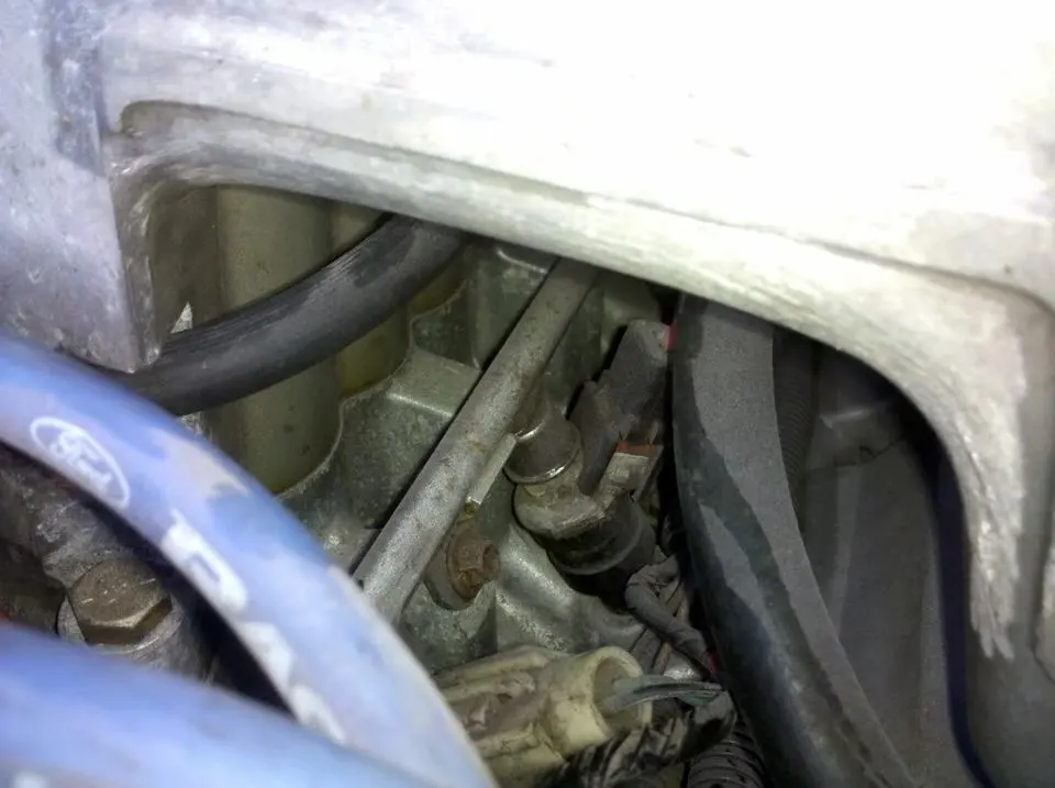 IMG_20100820_185000.webp