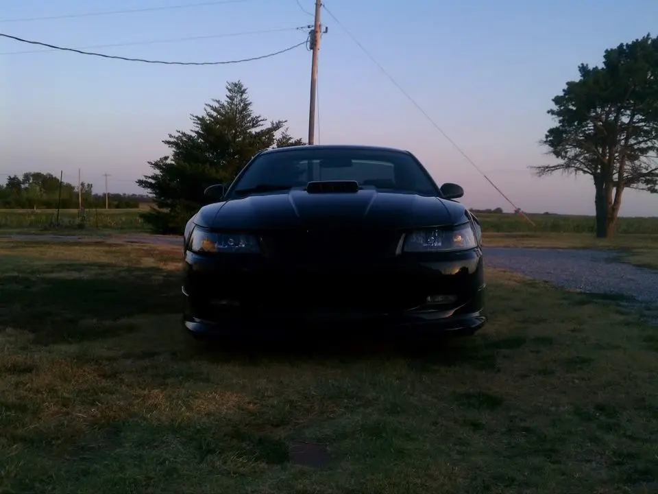 IMG_20110721_202524.webp