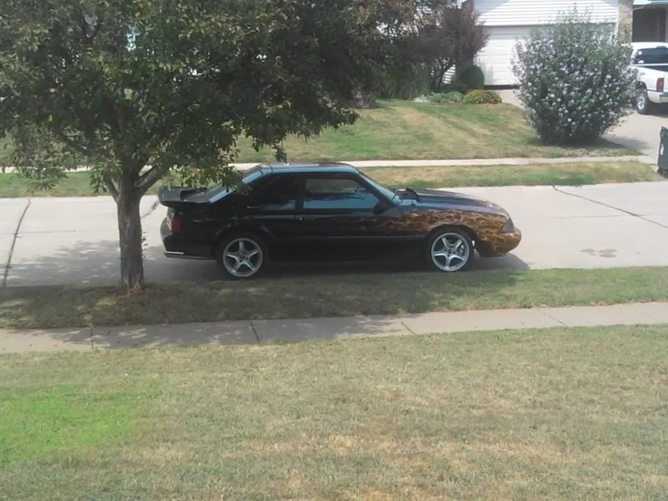 IMG_20110812_142416.webp