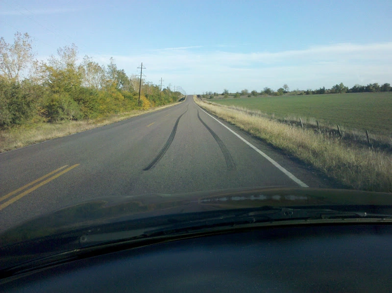 IMG_20111016_085046.webp