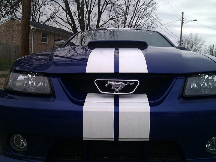 IMG_20120131_131808.webp