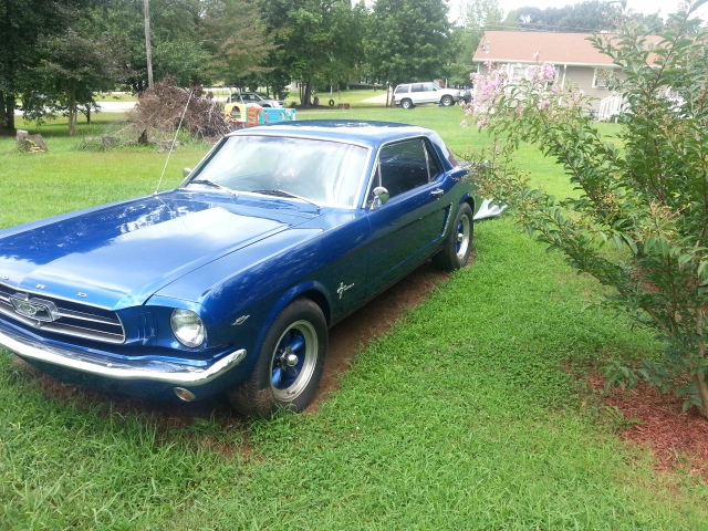 IMG_20130819_140659_zps3f474f17.webp