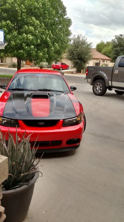 IMG_20150425_143513235_HDR.webp