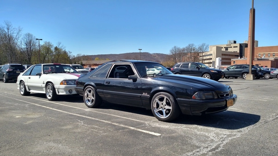 IMG_20160419_153156272_HDR_zpswvrxzv9k.webp