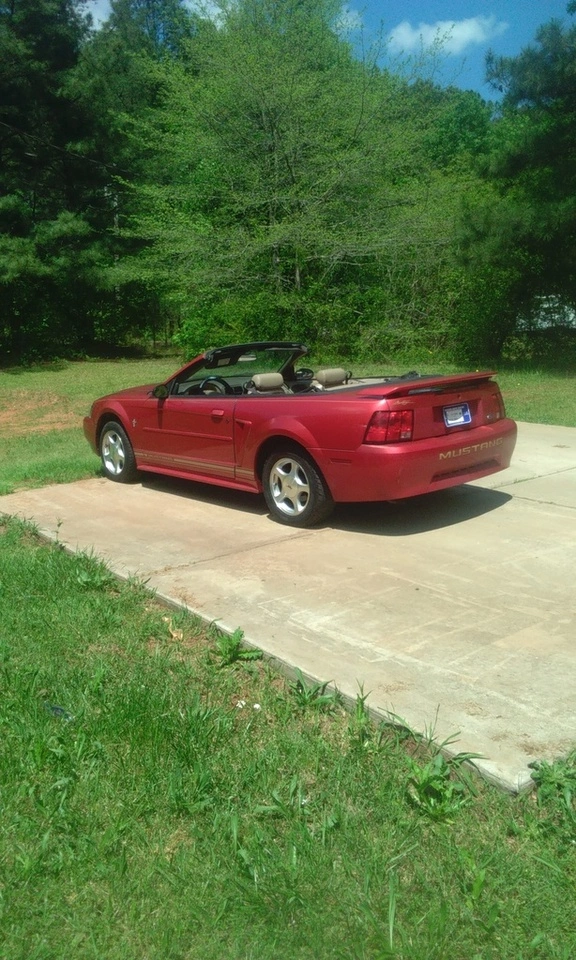 IMG_20160424_143843_zpsc4ghu8lk.webp