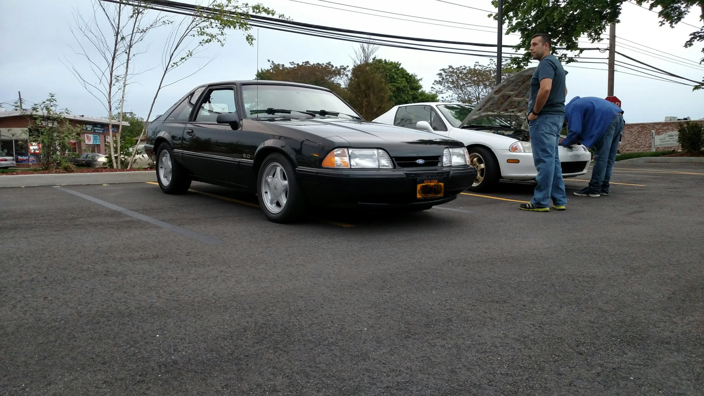 IMG_20160525_070246.webp