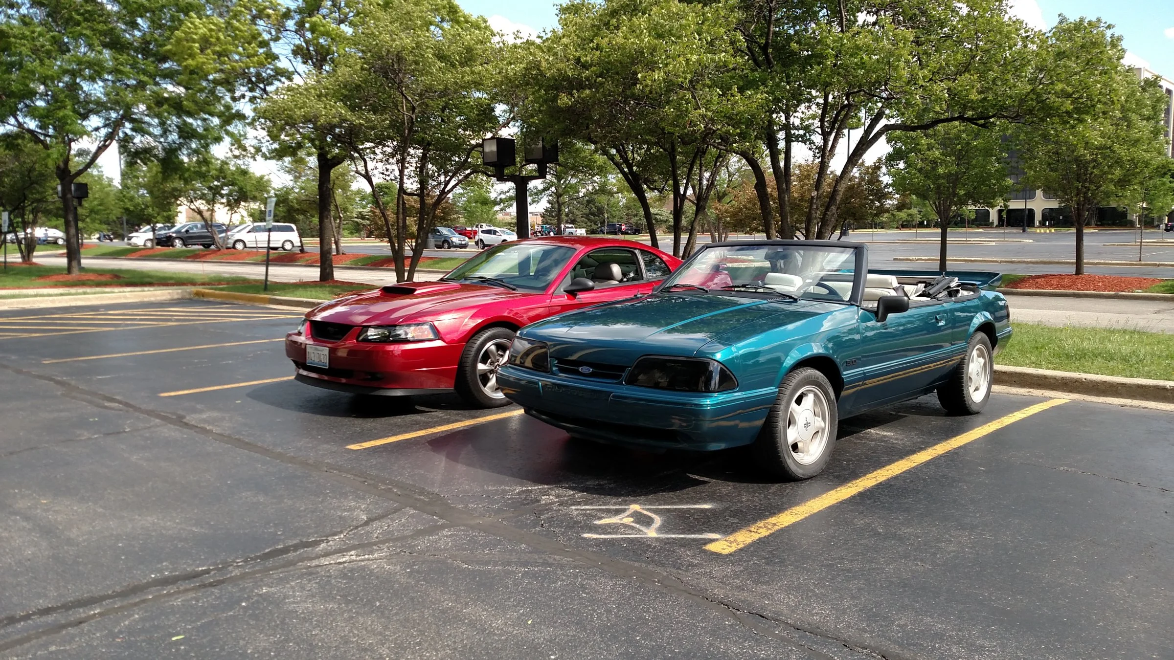 IMG_20160529_155119996.webp