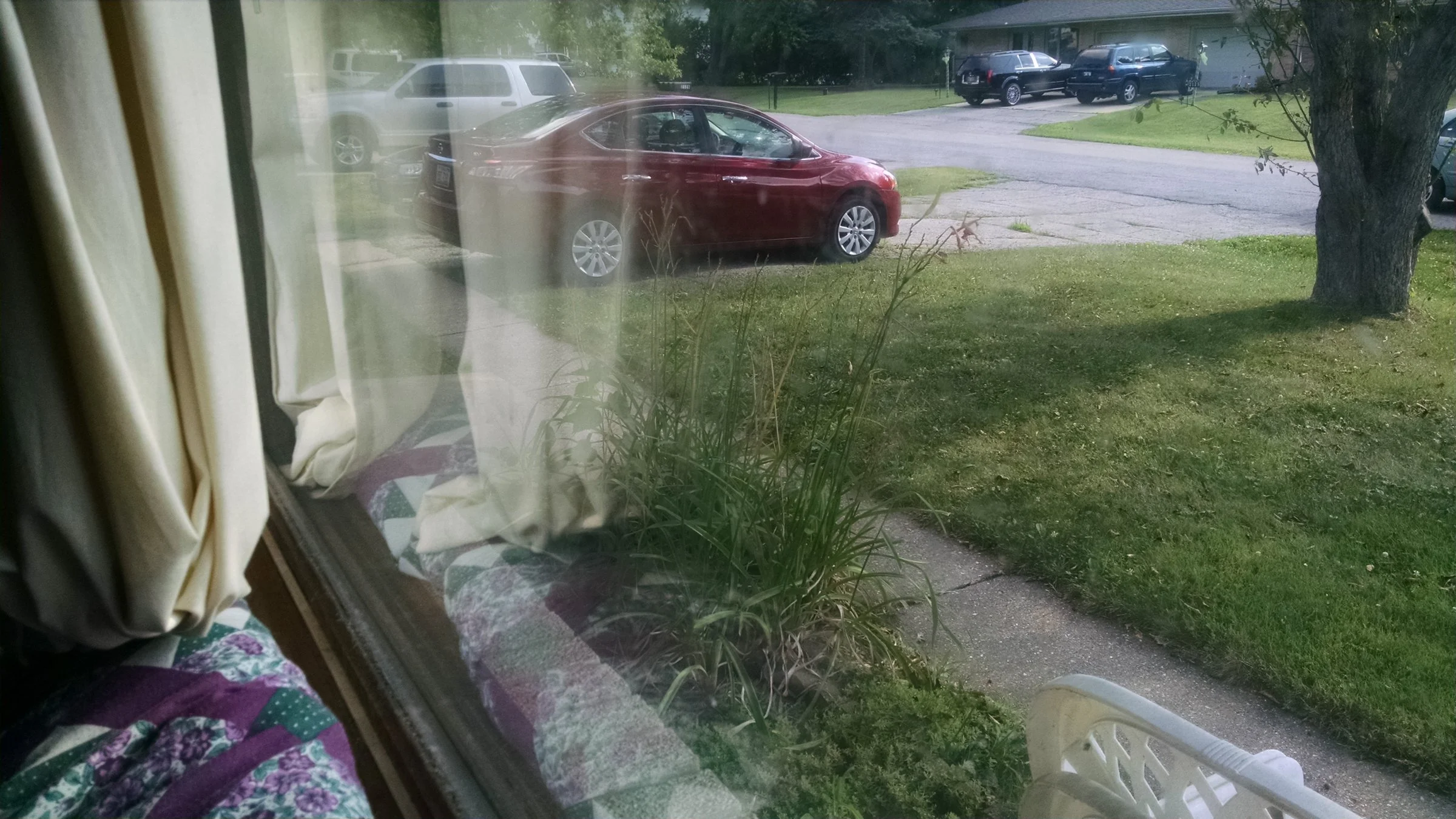 IMG_20160711_173838022.webp