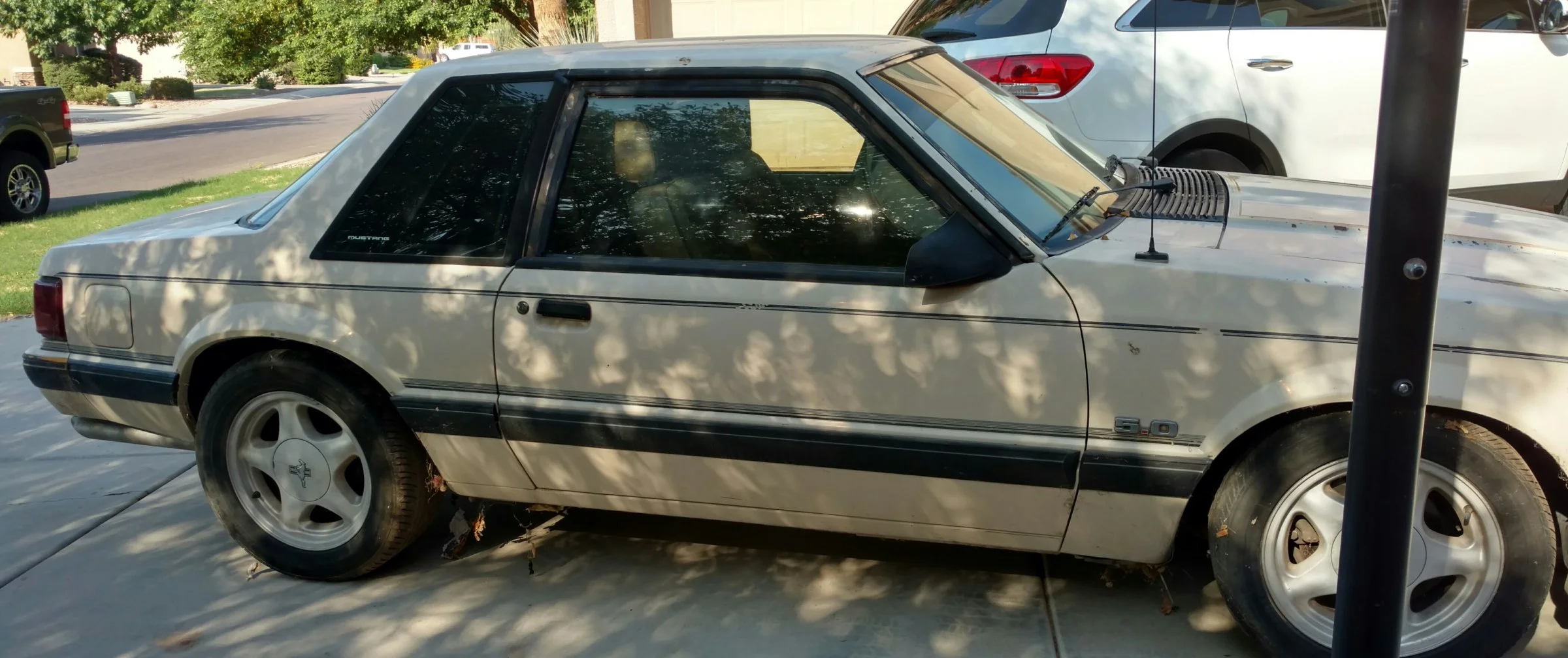 IMG_20160822_084021517_HDR~2.webp