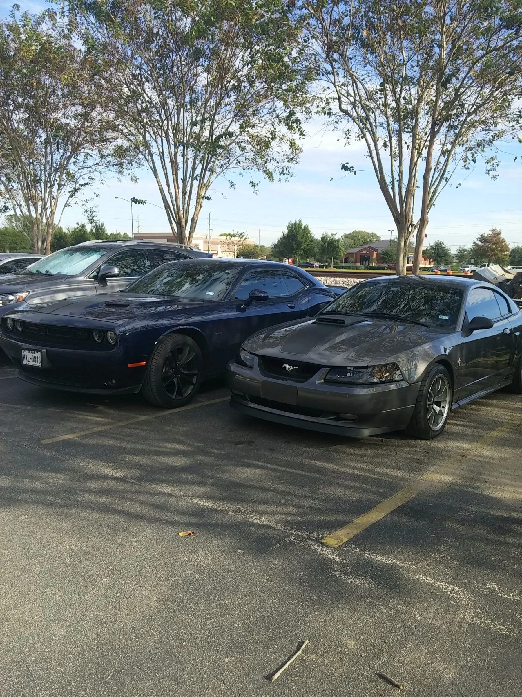 IMG_20161111_151811.webp
