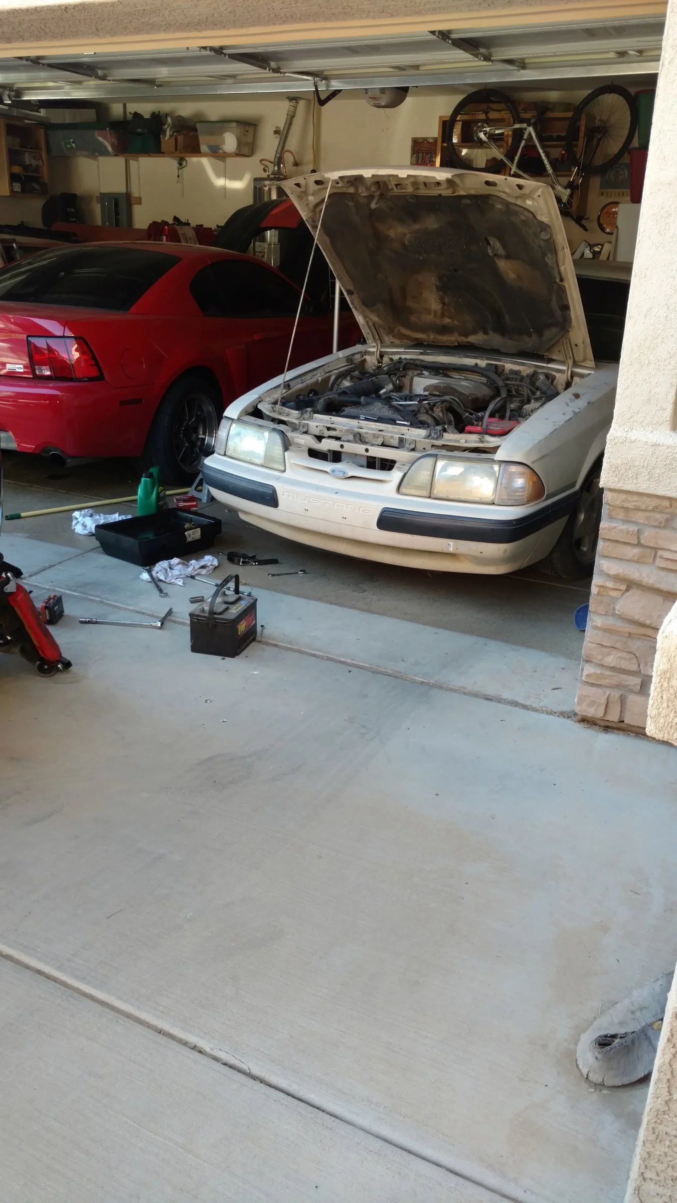 IMG_20161115_131346837.webp