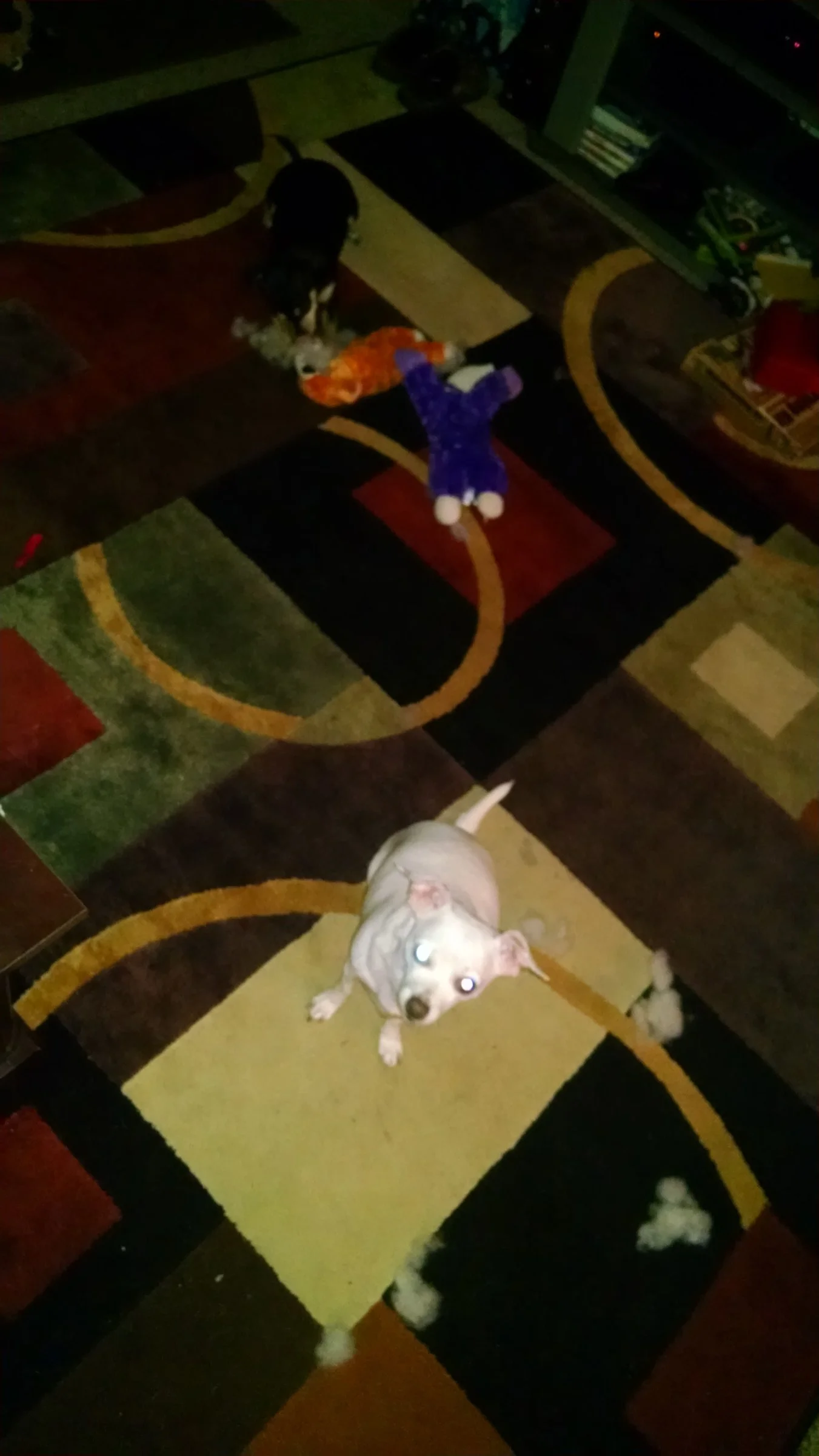 IMG_20170130_190055324.webp