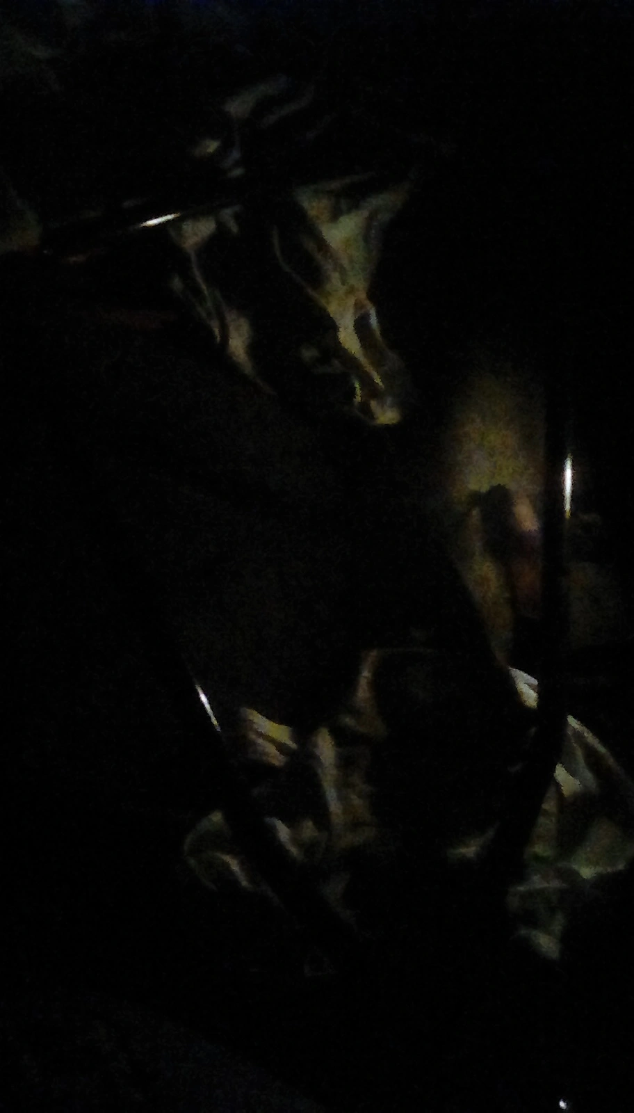 IMG_20181027_221916.webp