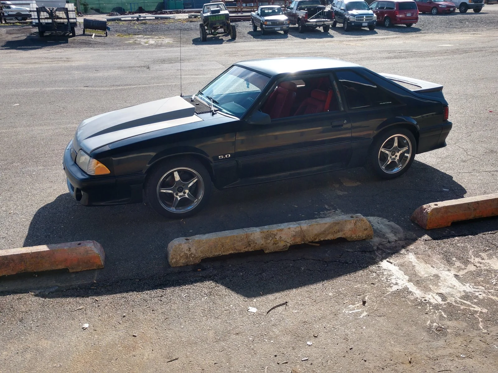 IMG_20190604_083602678_HDR.webp