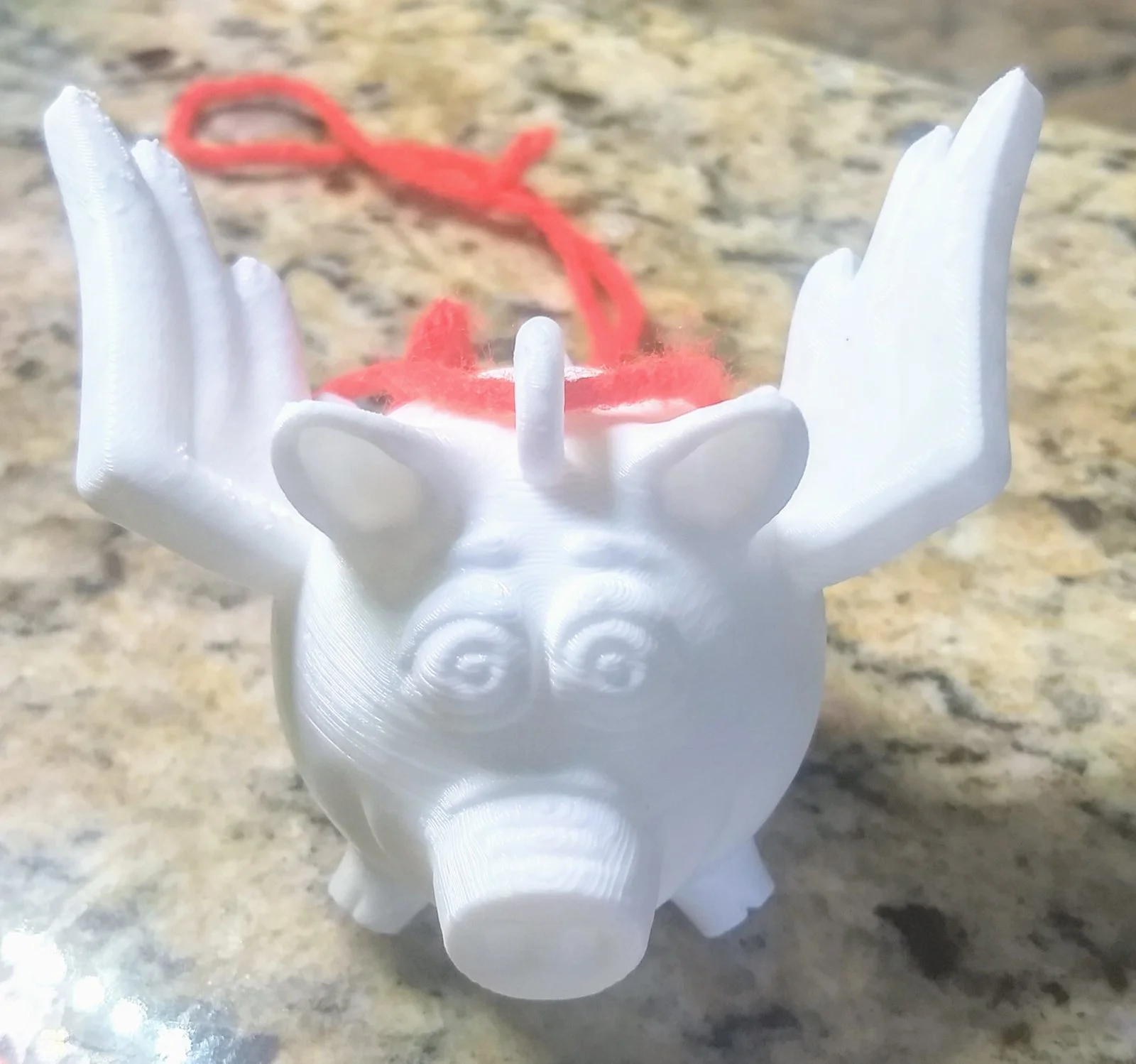 IMG_20190725_075851103_HDR~2.webp