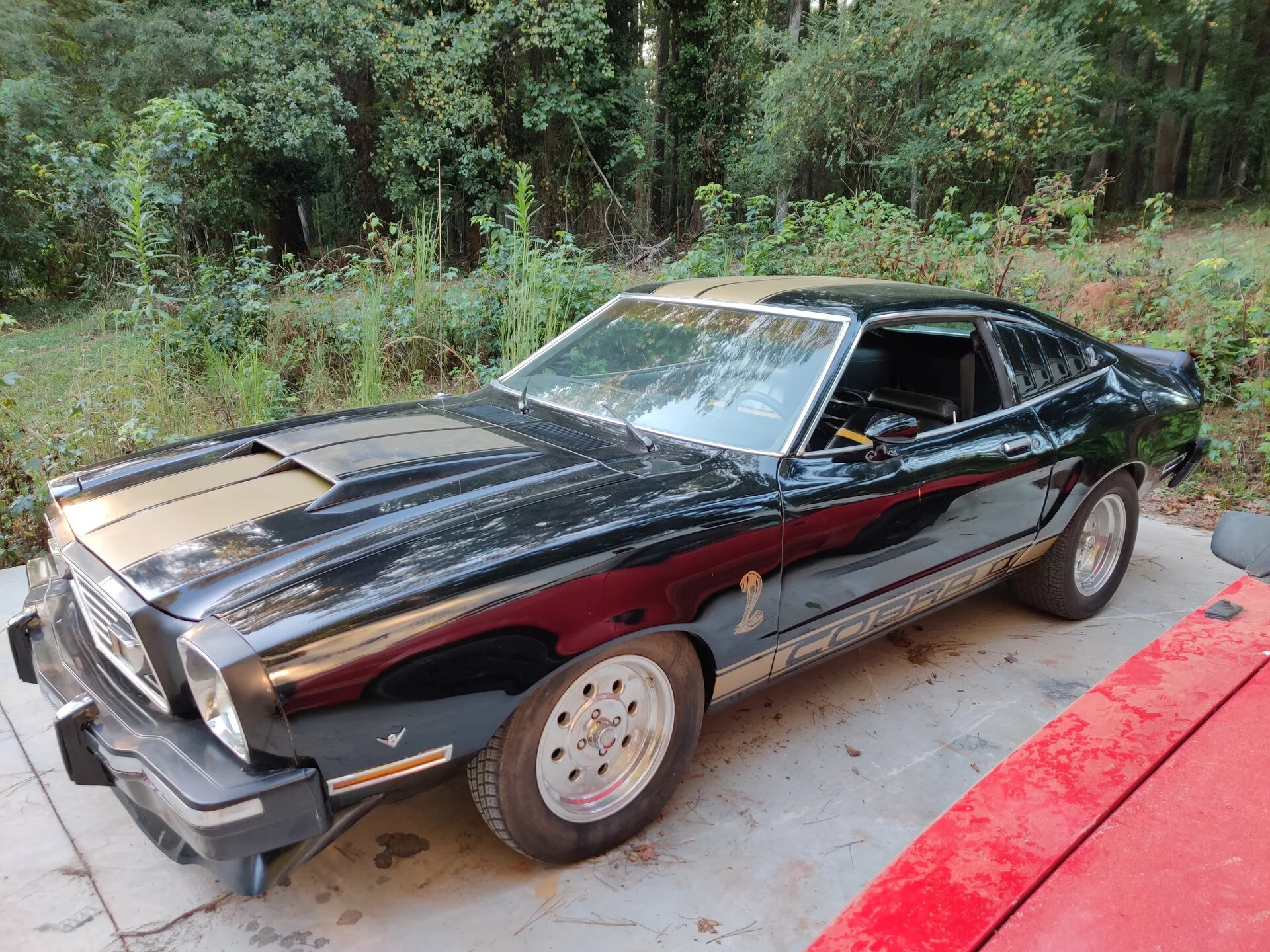 IMG_20190906_191104.webp