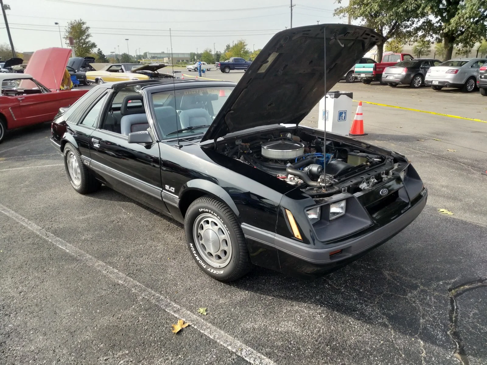 IMG_20190928_102851.webp