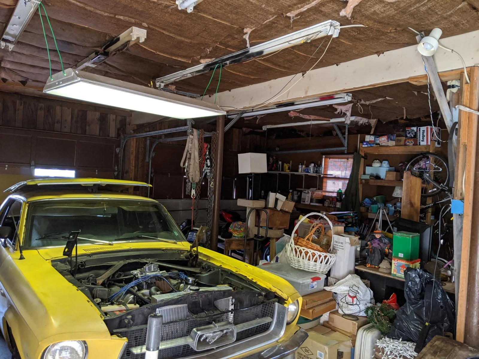 IMG_20191115_121149.webp