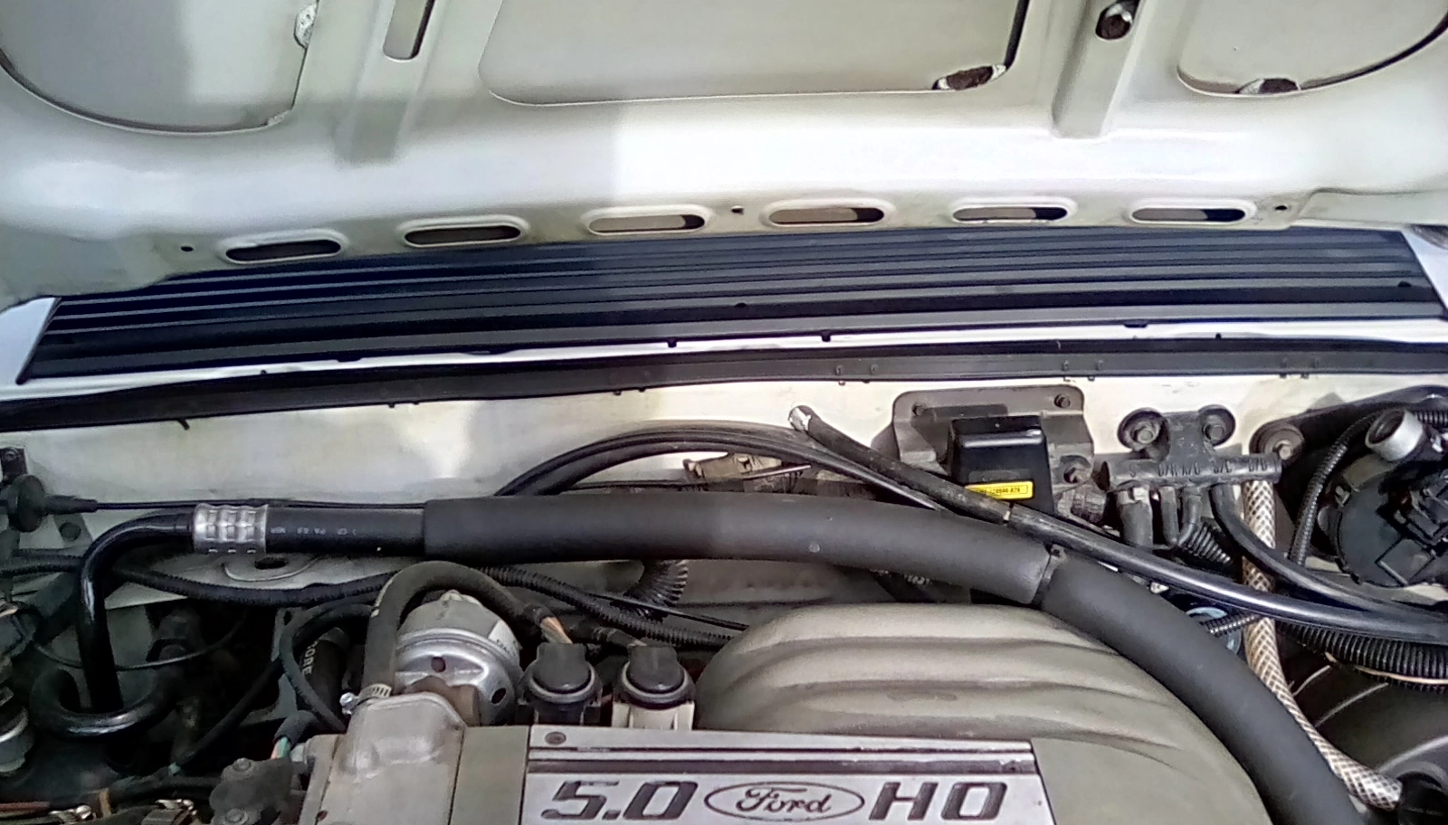 IMG_20200313_170939_hdr.webp