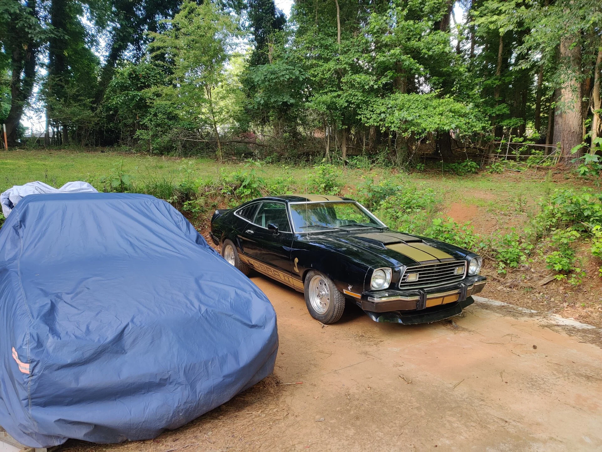 IMG_20200523_183628.webp