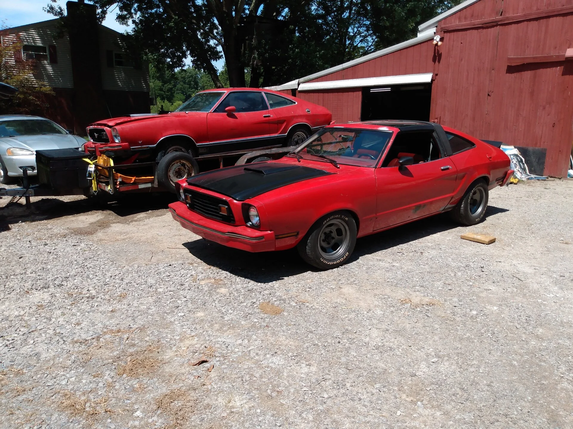 IMG_20200809_133133019.jpg