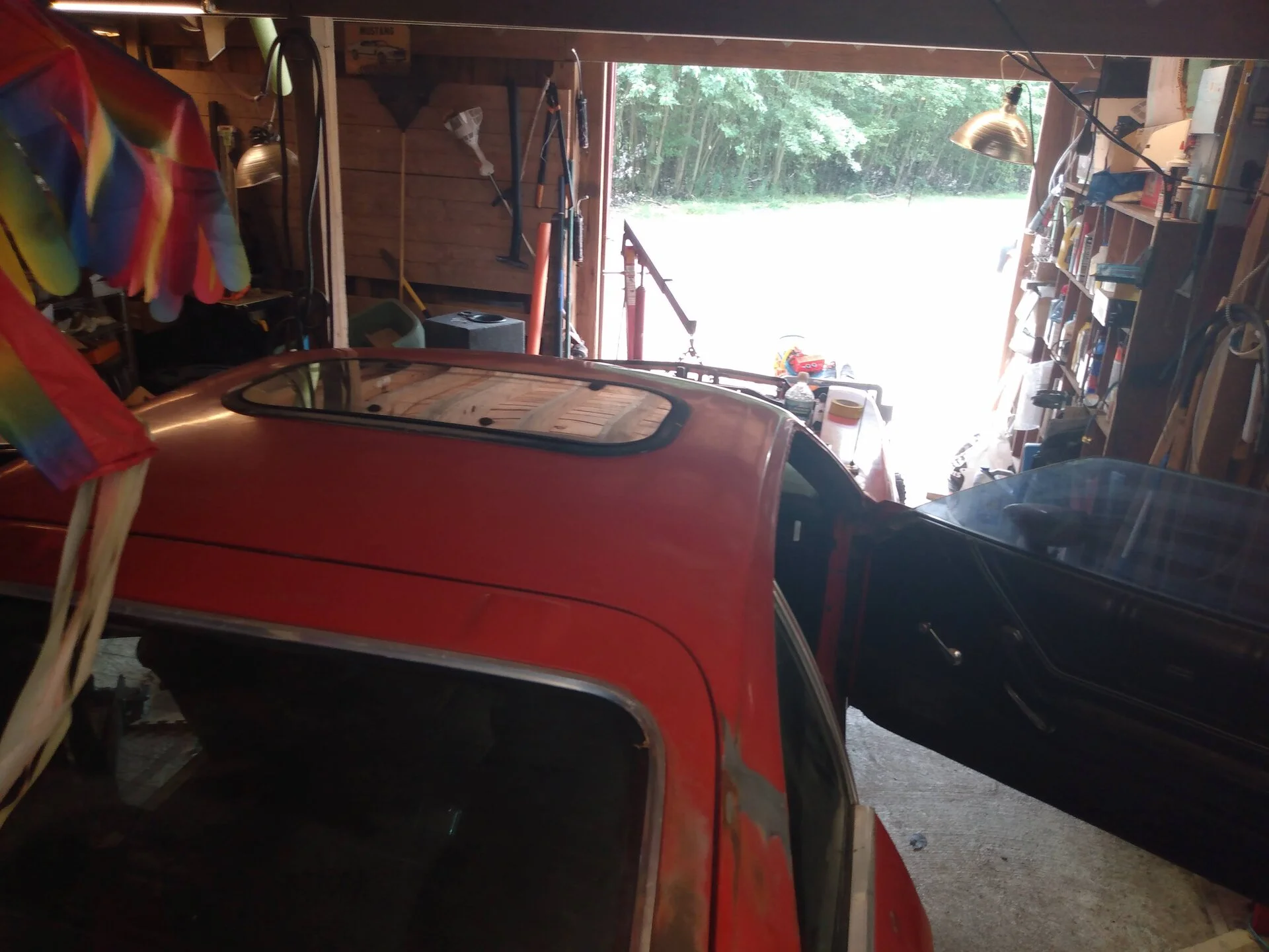 IMG_20200811_120205027.webp