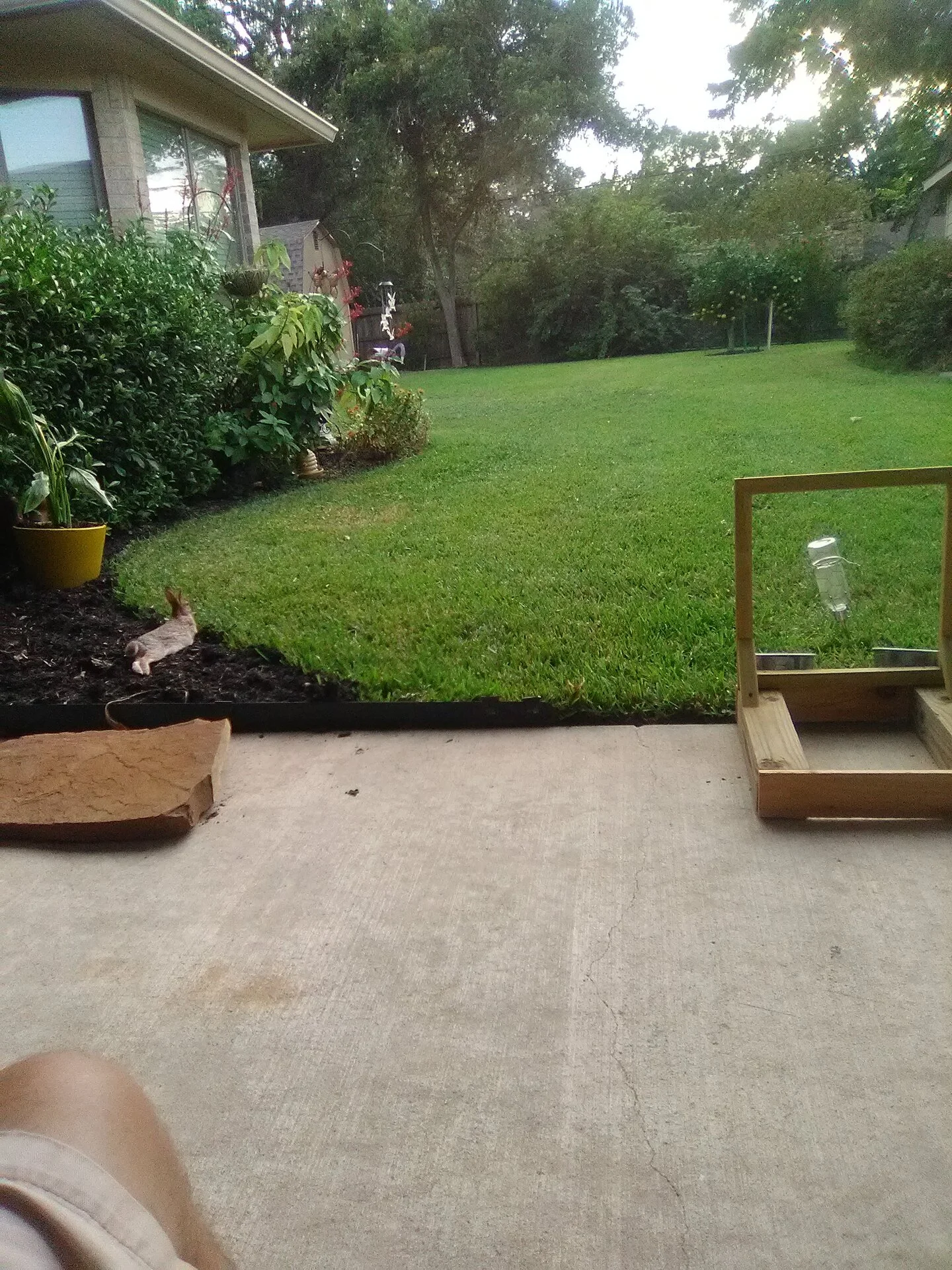 IMG_20201012_175636.webp