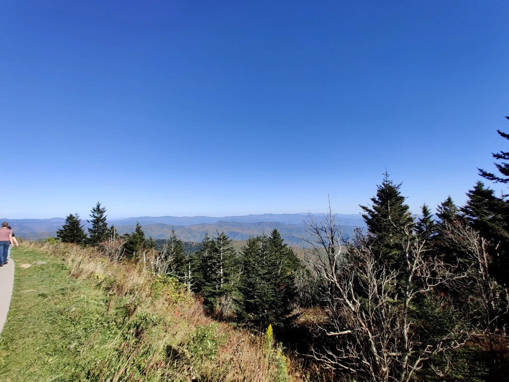 IMG_20201014_161537.webp