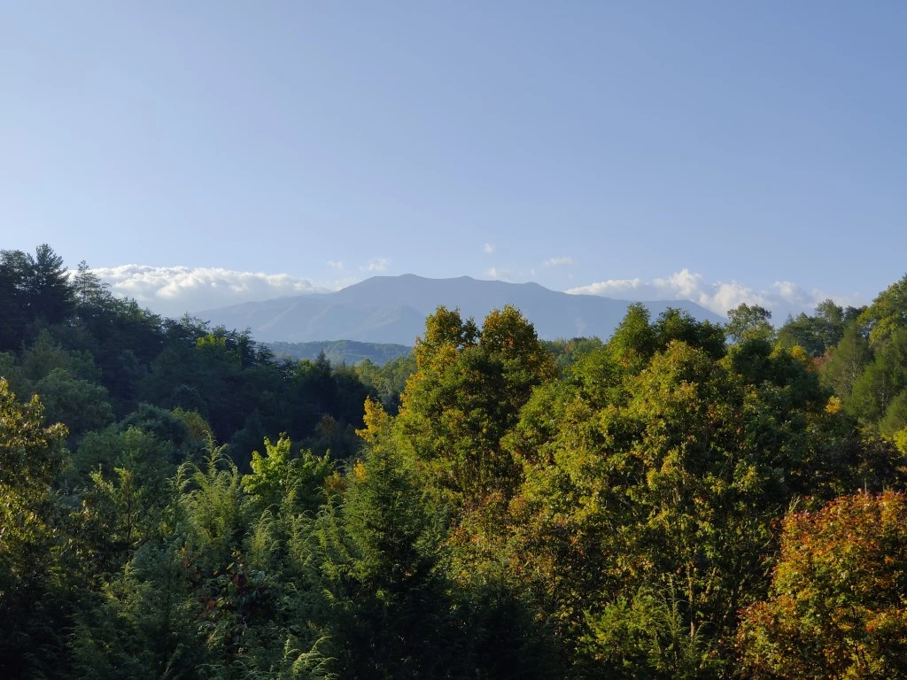 IMG_20201015_085529.webp