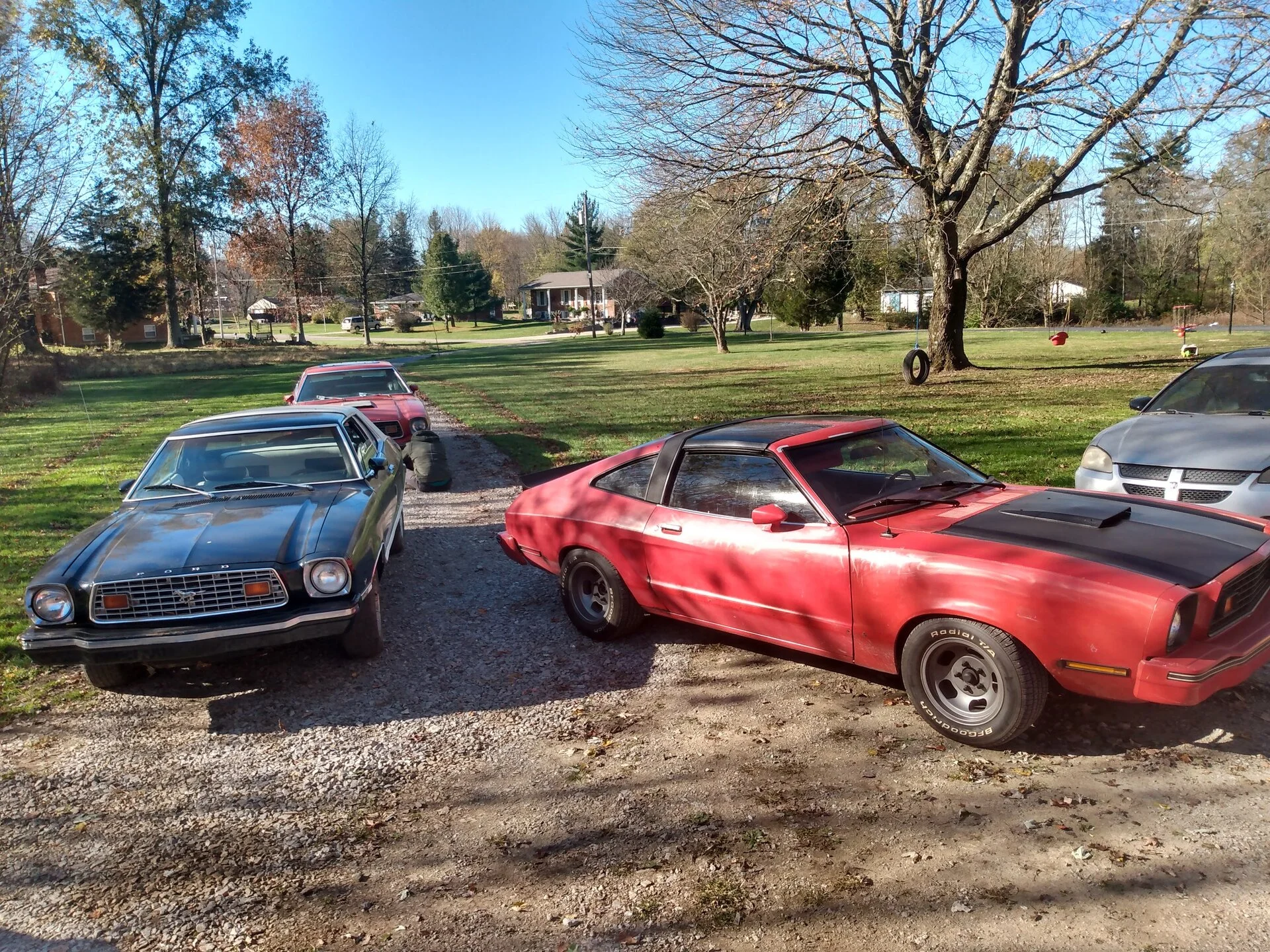 IMG_20201104_100547344_HDR.webp