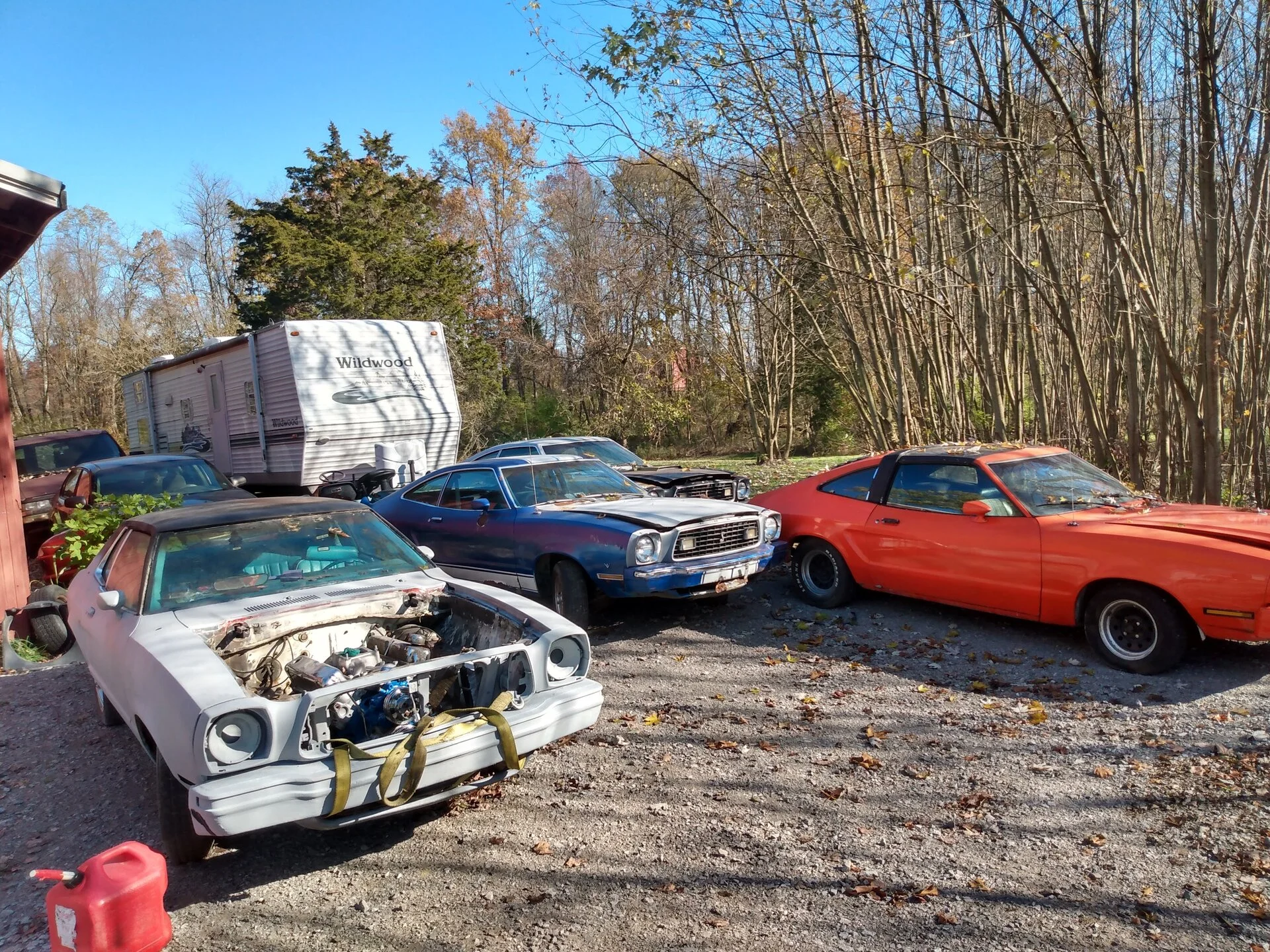 IMG_20201107_104301827_HDR(1).webp