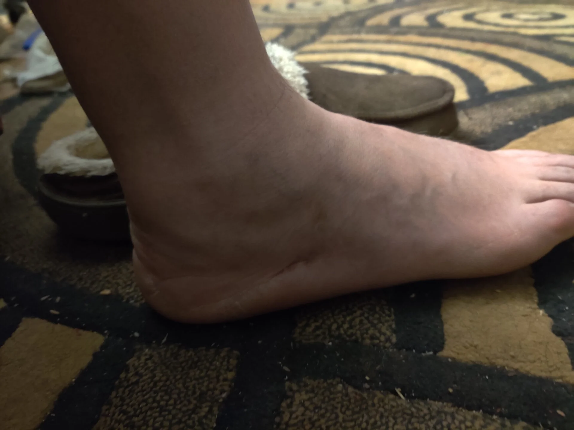 IMG_20201230_205236.jpg