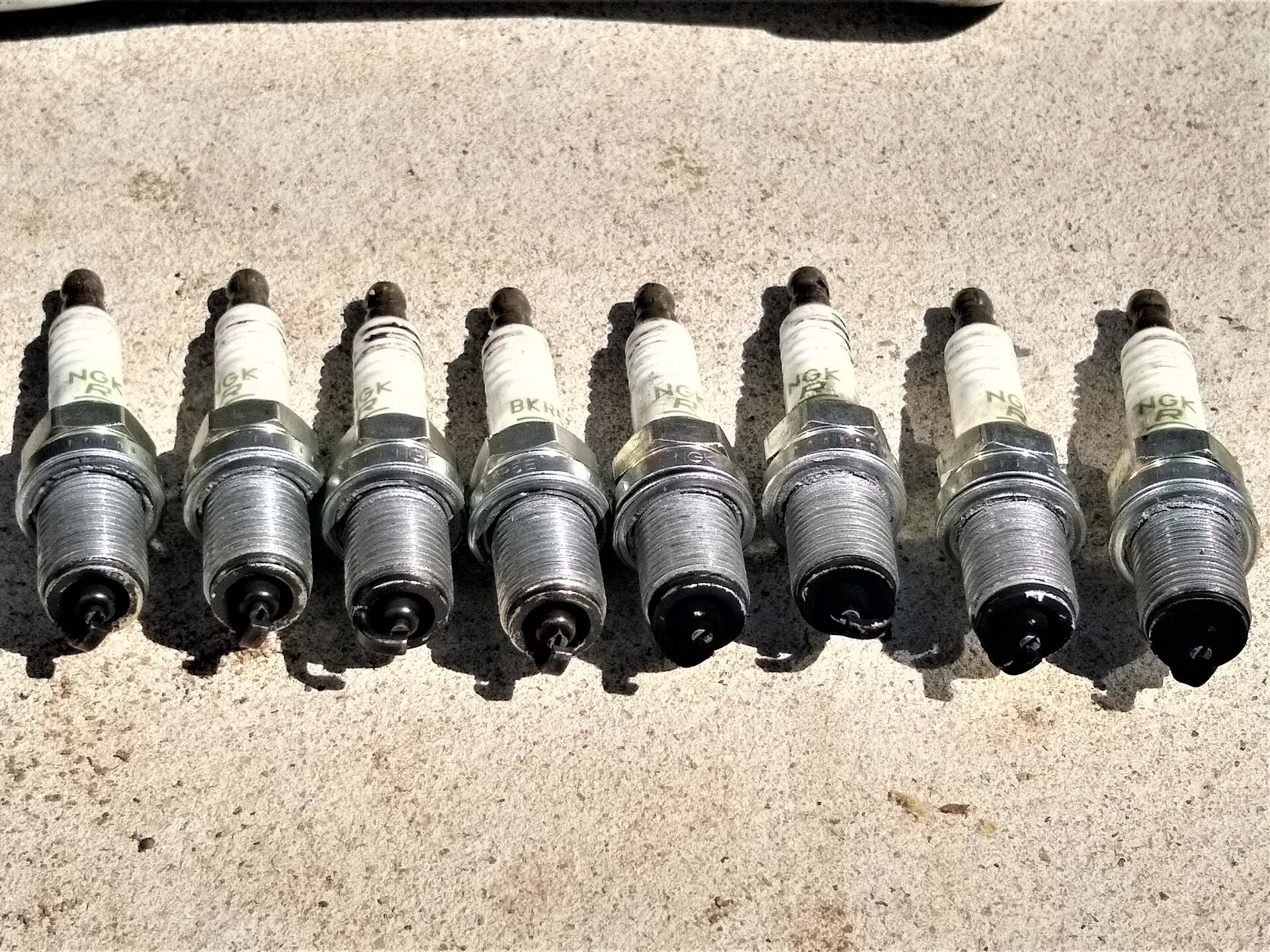 IMG_20210318_133655567_HDR.webp