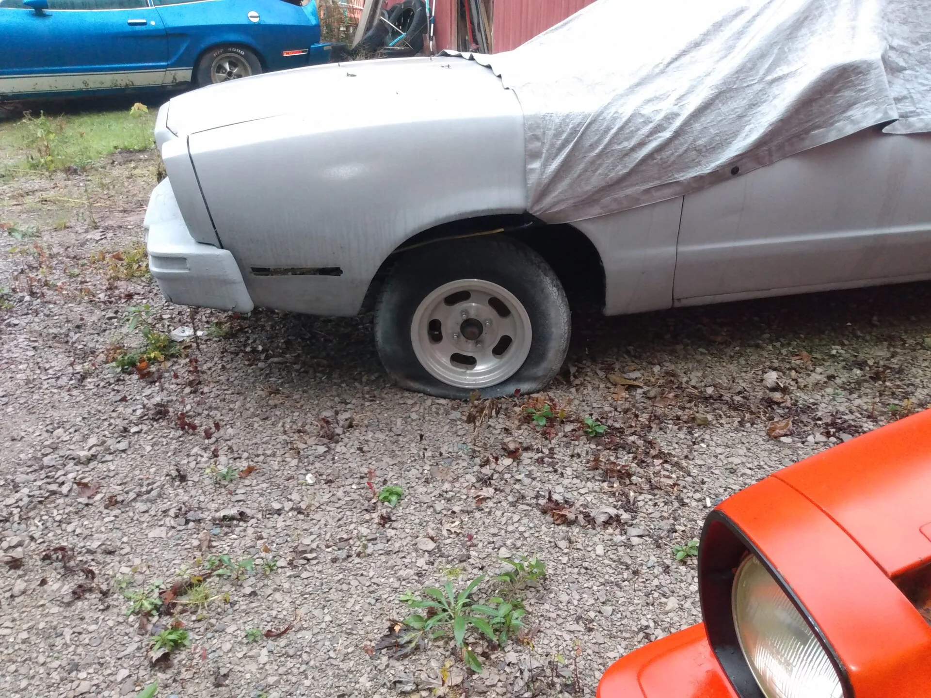 IMG_20211014_080951318.webp