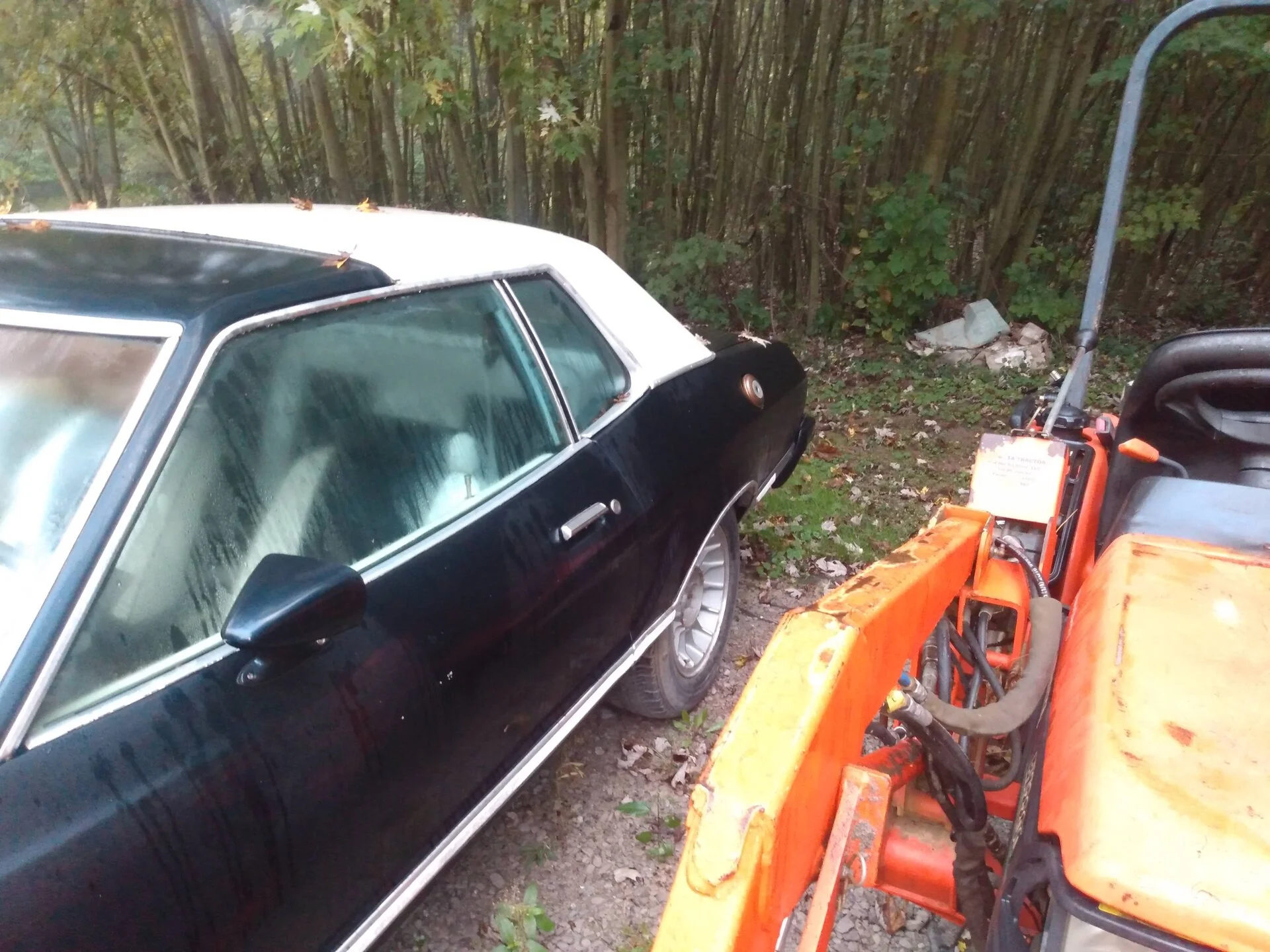 IMG_20211014_081005817.webp