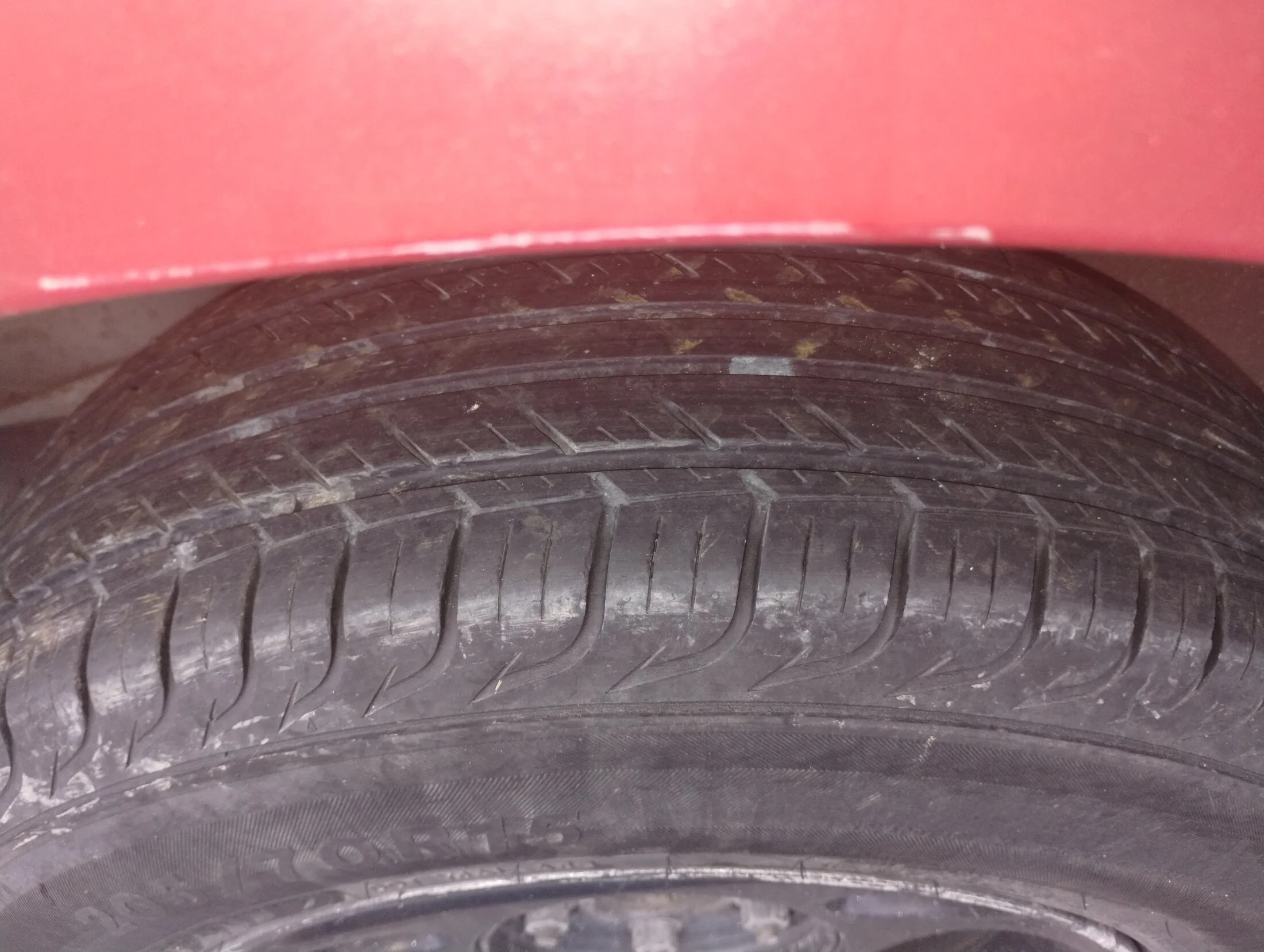 IMG_20230613_073424265.webp