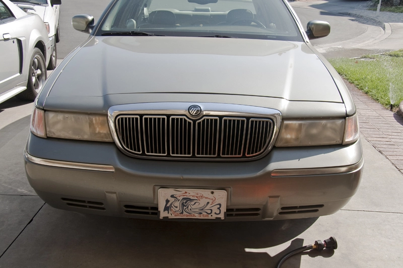 IMG_2036Small.webp