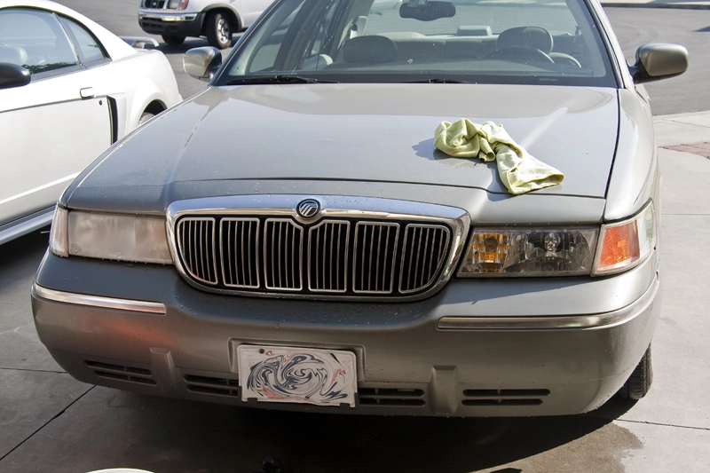 IMG_2038Small.webp