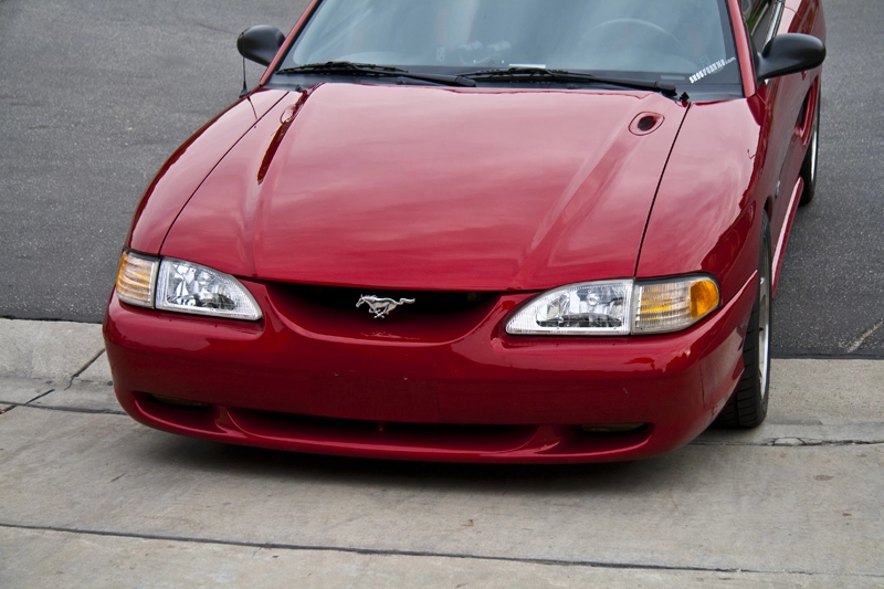 IMG_2118Small.webp