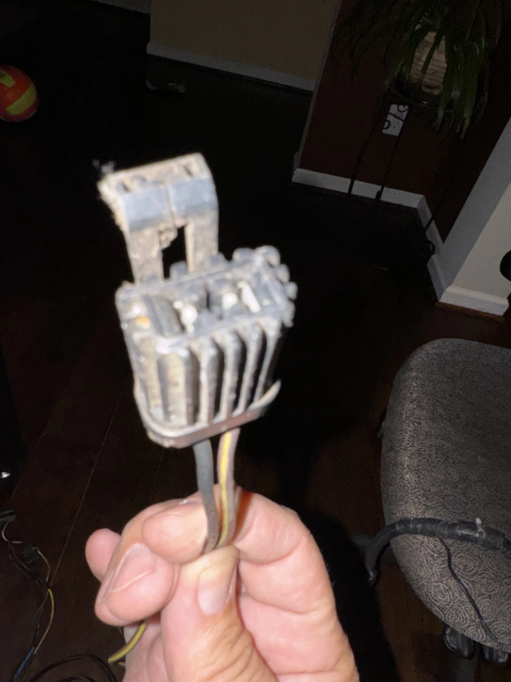 IMG_2259.webp