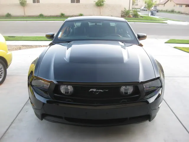 IMG_2394.webp