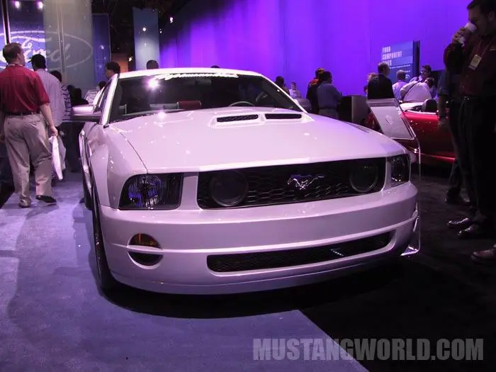 IMG_2402_JPG.webp