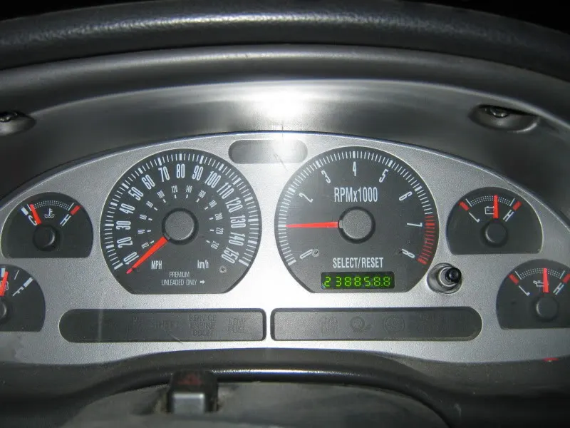 IMG_2430.webp