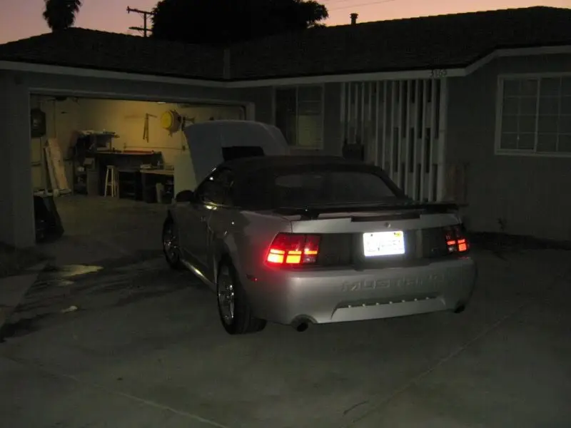 IMG_2473JPGa.webp
